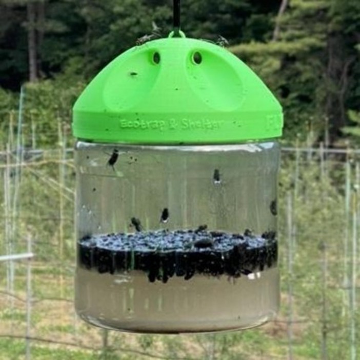 에코트랩 플라이돔 기본형 3만마리 파리퇴치기 트랩 포획 박멸 제거 재사용 가능