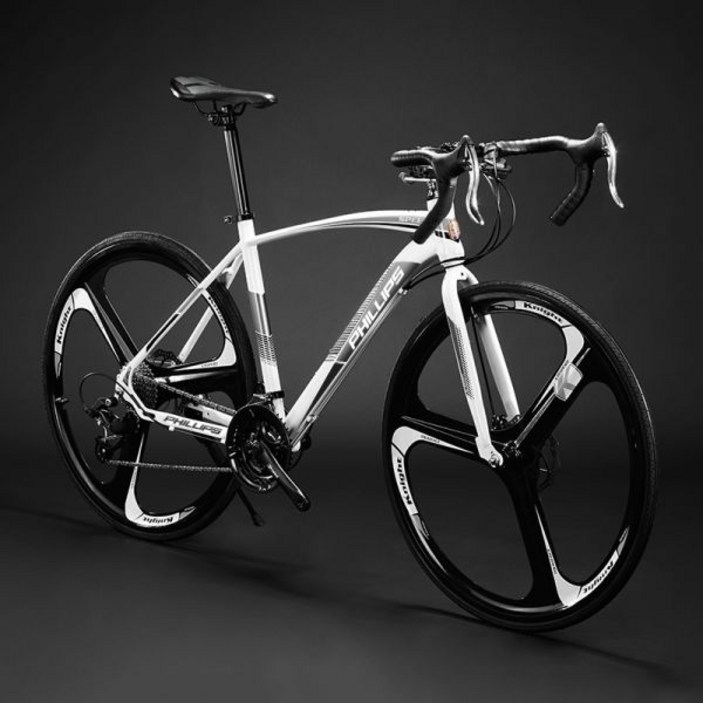 필립스 philips 자전거 팻바이크카 자이언트 giant 사바파이크 k3 inch, 21 스피드5