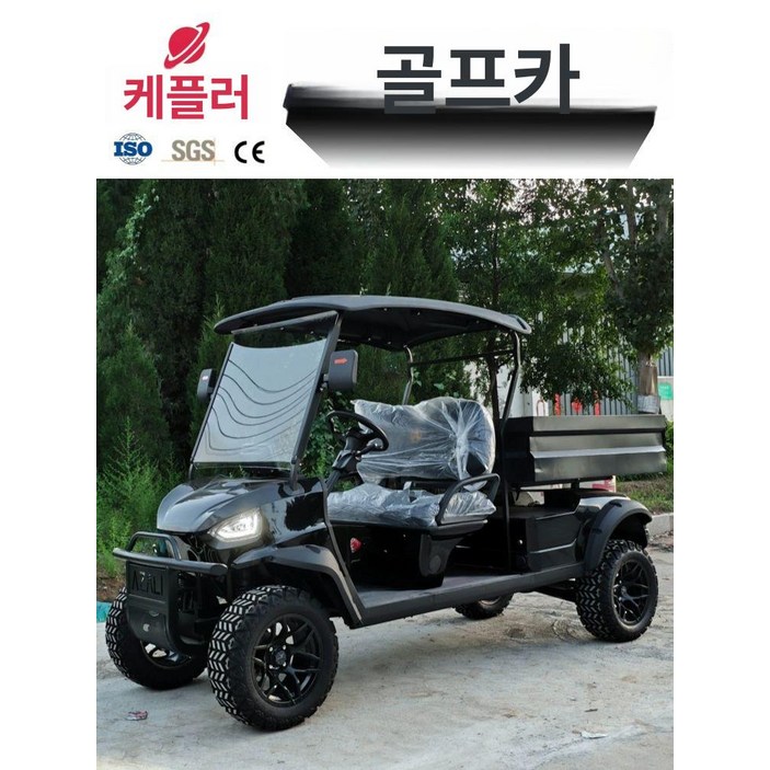 골프 전동카트 2 4인승 카트 4인승카트 전기카트