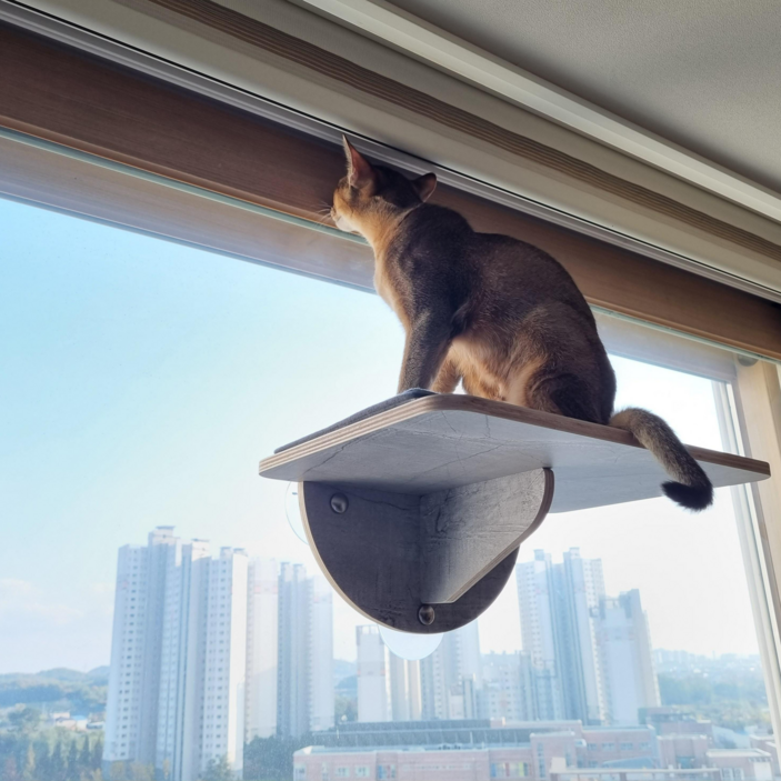 고양이호텔 헤라우스점핑 고양이 일광욕 창문 캣타워 투명 해먹 캣워크 캣워커 캣폴, 창문 캣워커, 1개