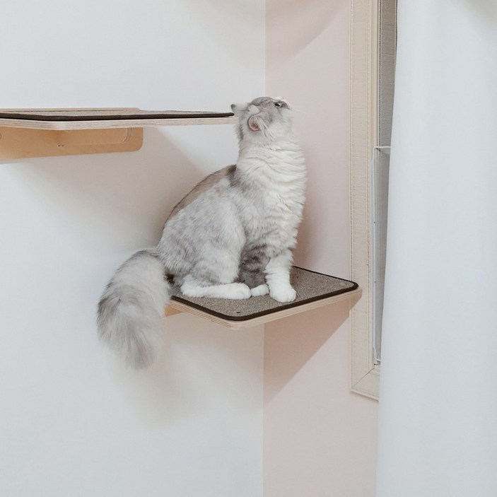 캣워커 [딱스텝] 고양이 구름다리 캣워커 벽타입스텝 (카펫 스크레쳐 포함), 브라운(꼭 콘크리트벽에 설치), 1개