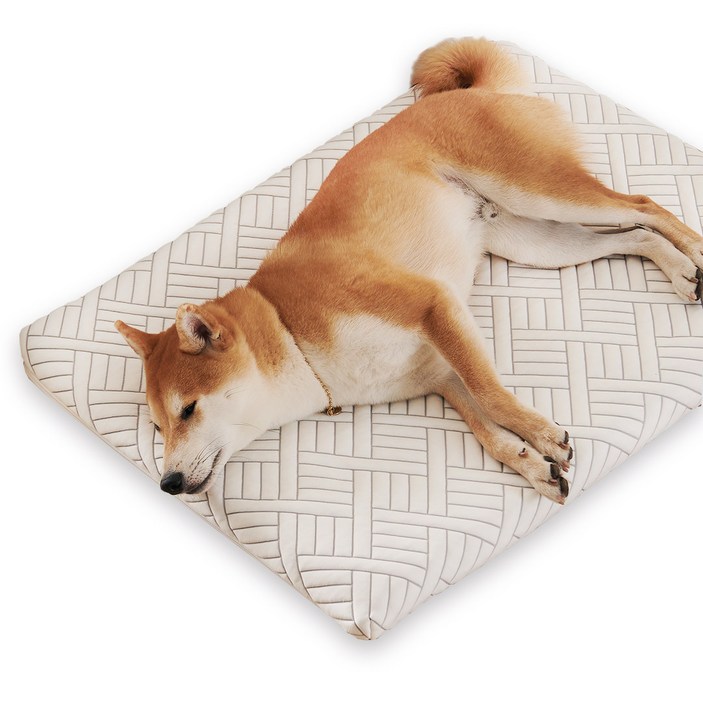 [꽁떼떼] (듀라론) 100% 국내생산 메모리폼 쿨매트 강아지 매트리스 침대 애견 쿠션 M/L, 1개