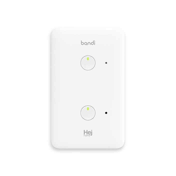 헤이홈 IoT 스마트 조명 스위치 2선식 2구