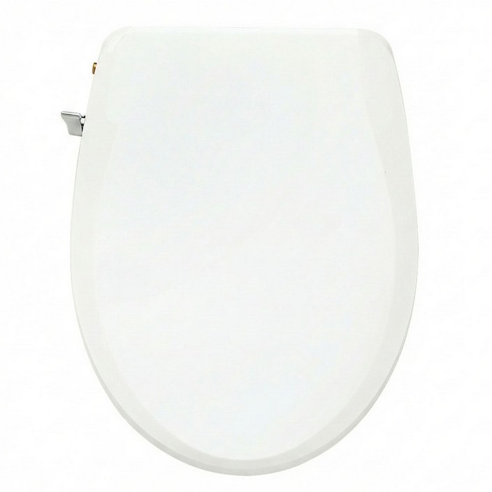 바스온 수동비데 GDB-S2000 무전원 시트일체형 기계식비데 좌우2노즐 물청소 냉수연결, GDB-S2000, 고객직접설치