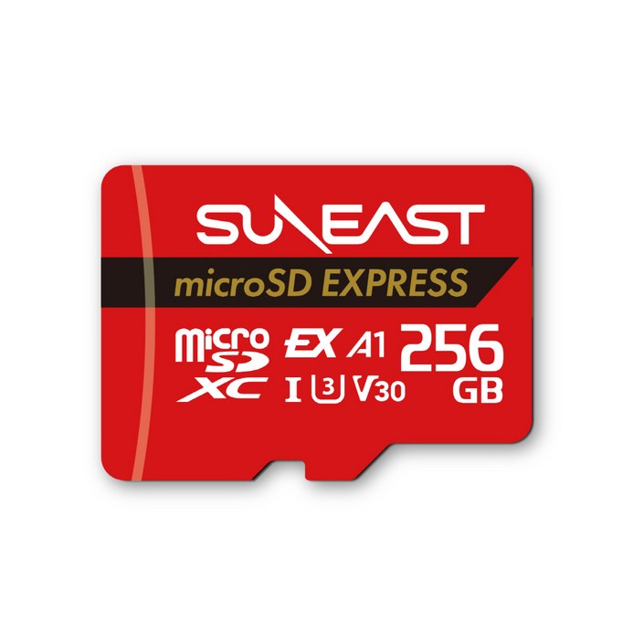 선이스트 닌텐도 스위치2 마이크로SD 익스프레스 PCIe NVMe 메모리카드 SEMSE256G20P1G, 1개, 256GB