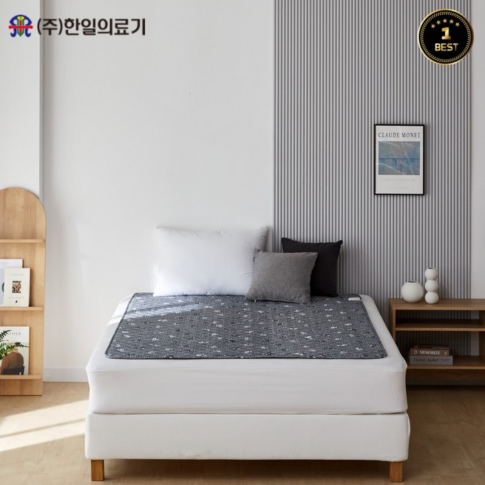 <24년형 9월출시>한일의료기 프리미엄 고급 전기요 곰인형 싱글,더블