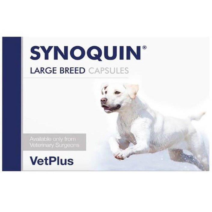 벳플러스 사이노퀸 대형견 강아지 독 라지브리드 30정 관절영양제 타블렛 3개, 30정, 어덜트, 3개