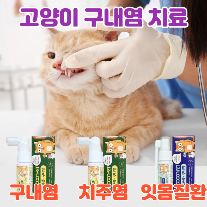 이지캣 고양이 구내염약 구내염 치주염 치은염 잇몸염증 바르는 젤 구강 영양제 이지캣 고양이 구내염약 구내염 치주염 치은염 잇몸염증 바르는 젤 구강 영양제