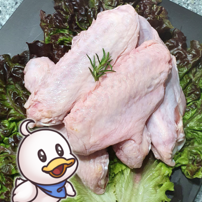 한결컴퍼니 생 오리날개 1kg 냉동 손질 생오리날개 오리고기 수제간식재료 한결컴퍼니 생 오리날개 1kg 냉동 손질 생오리날개 오리고기 수제간식재료