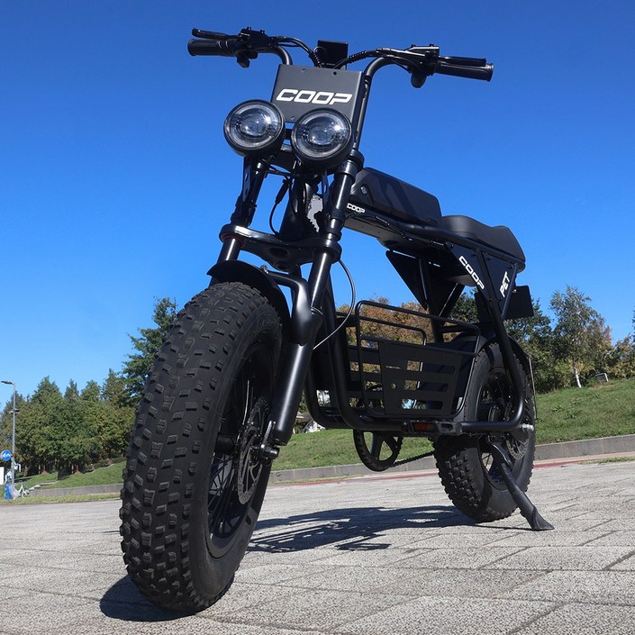 엑스트랙 몬스터 쿱 펫 PET 팻바이크 애견동승 자토바이 48V 바구니 전동 전기 자전거