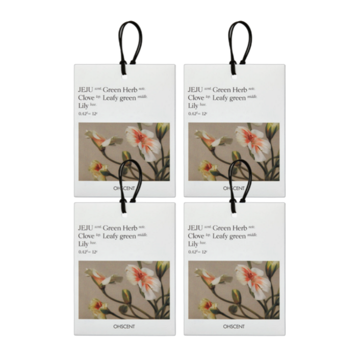 31 오센트 퍼퓸 샤쉐 6종 4입, 룸 차량 옷장 화장실 방향제 공간을 담은 향기