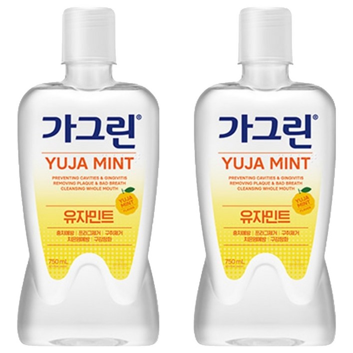 가그린 구강세정제 유자민트향