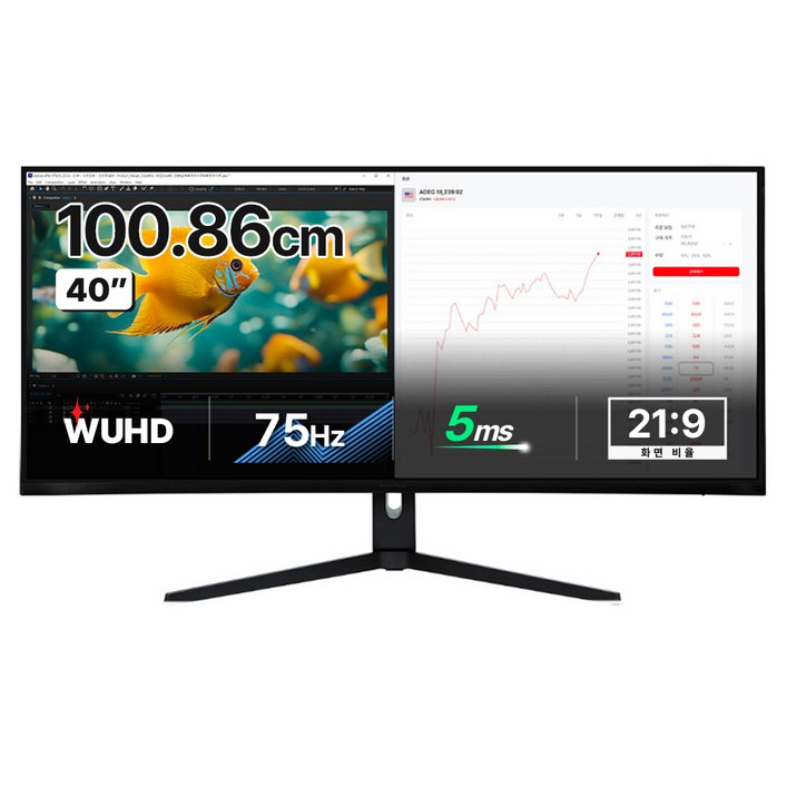 인터픽셀 5K WUHD NANO IPS 75Hz 높이조절 모니터, 100.859cm, IPU4010일반