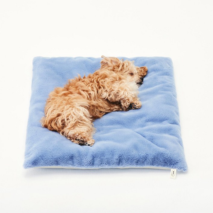 동원아르르 반려동물 꿀잠이불 양면쿠션