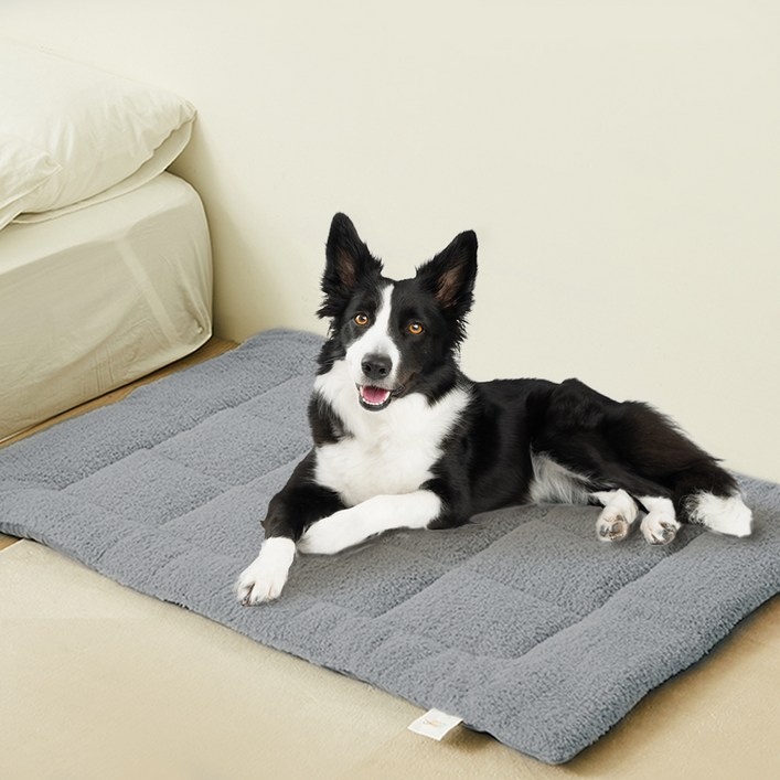 코멧 펫 소프트 통세탁 양면 쿠션