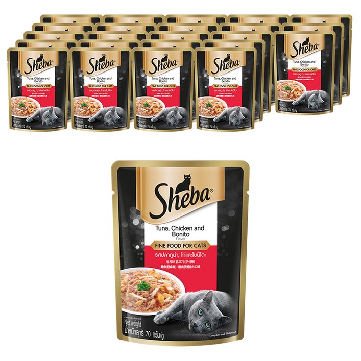 쉬바 고양이 주식 파우치