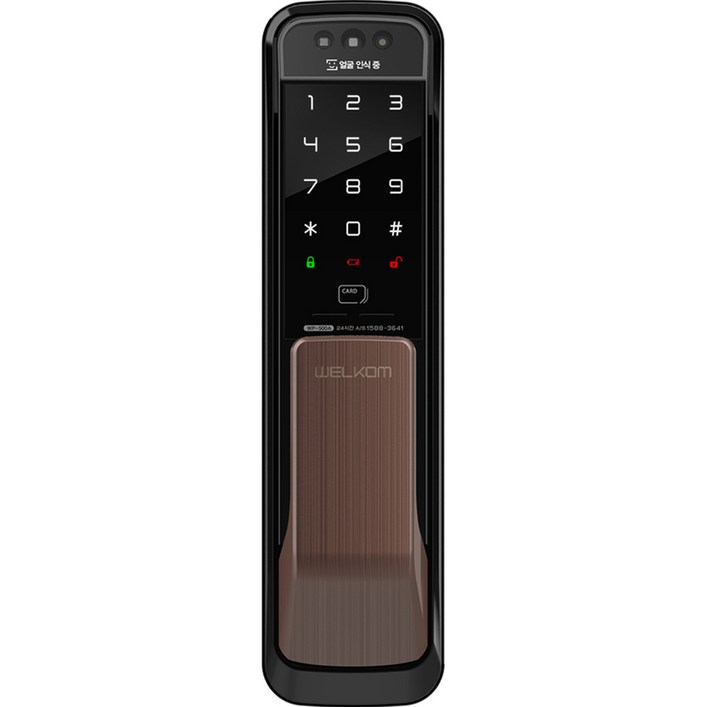 솔리티 얼굴인식 무타공 푸시풀 손잡이 있음 도어락 WP-500A