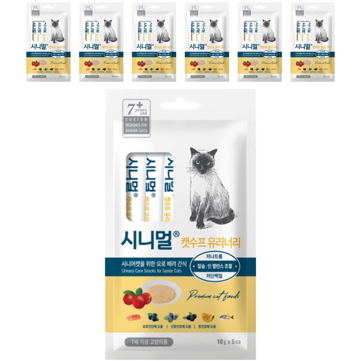 시니멀 캣수프 유리너리 5스틱