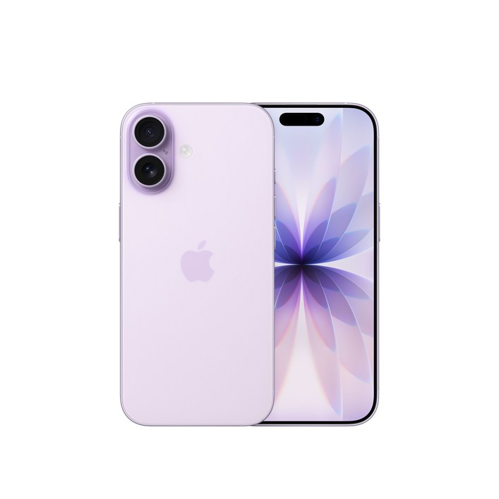 Apple 아이폰 17 자급제