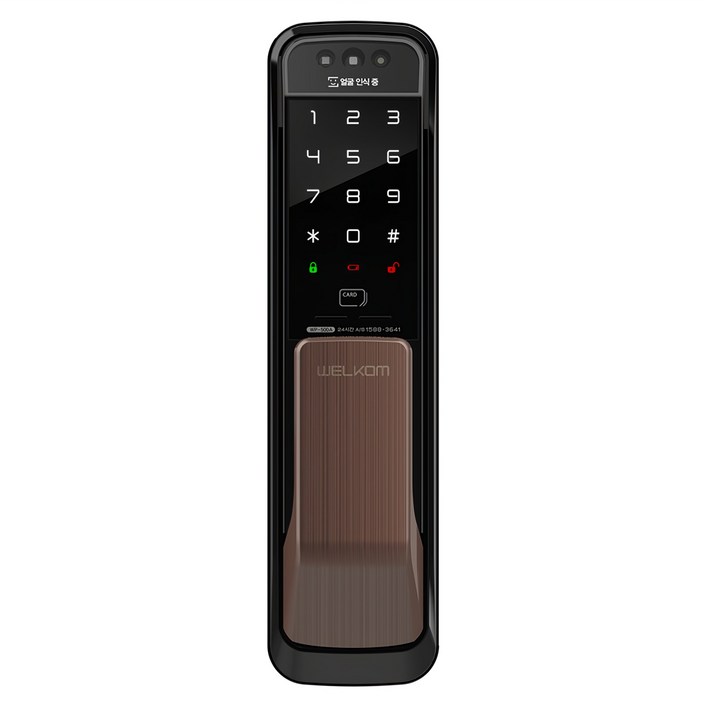 솔리티 얼굴인식 무타공 푸시풀 손잡이 도어락 WP-500A