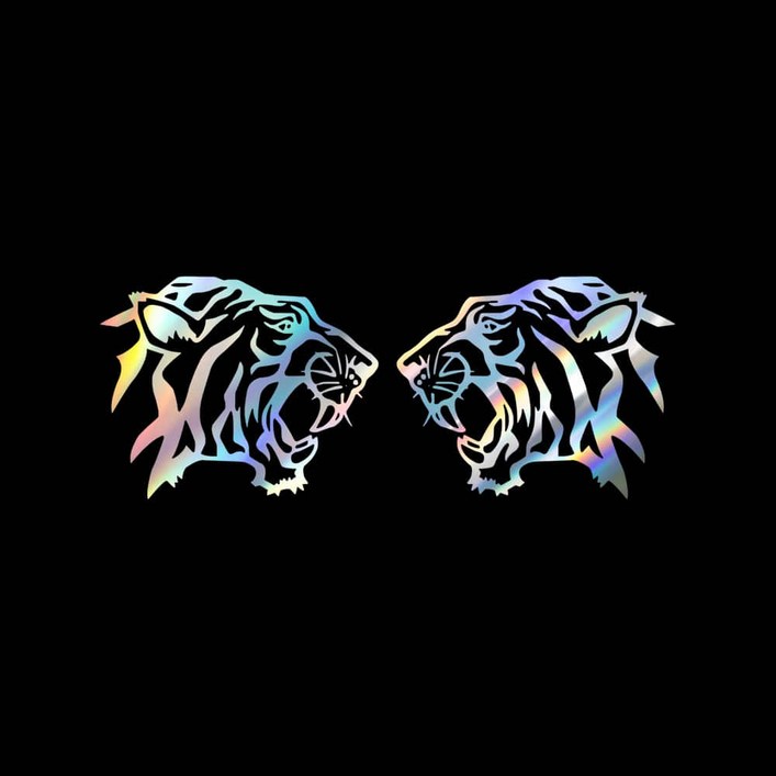048 포인트 호랑이 튜닝스티커 M사이즈 2개1세트, 홀로그램, 1개