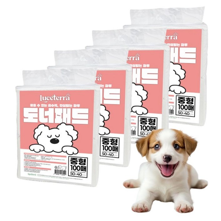 (동물병원추천 신제품) 루쎄테라 도너패드 강아지 가성비 실속형 배변패드 흡수력 새지않는 애견패드, 4개, 100개입