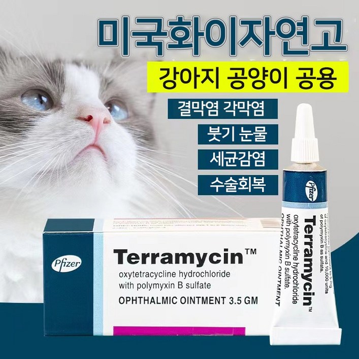 미국제 강아지 고양이 눈증 케어 YG1, 1개, 3.5g