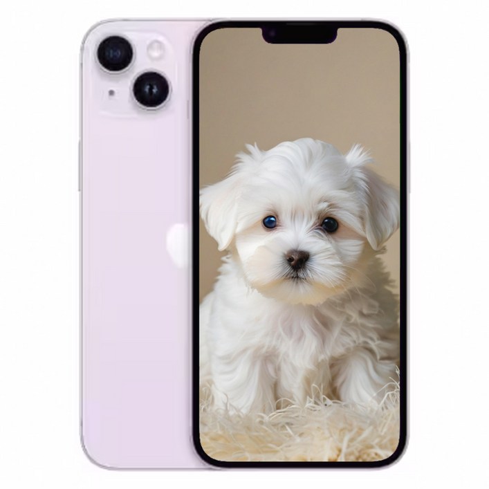 아이폰 14 플러스 새제품 정품 256GB