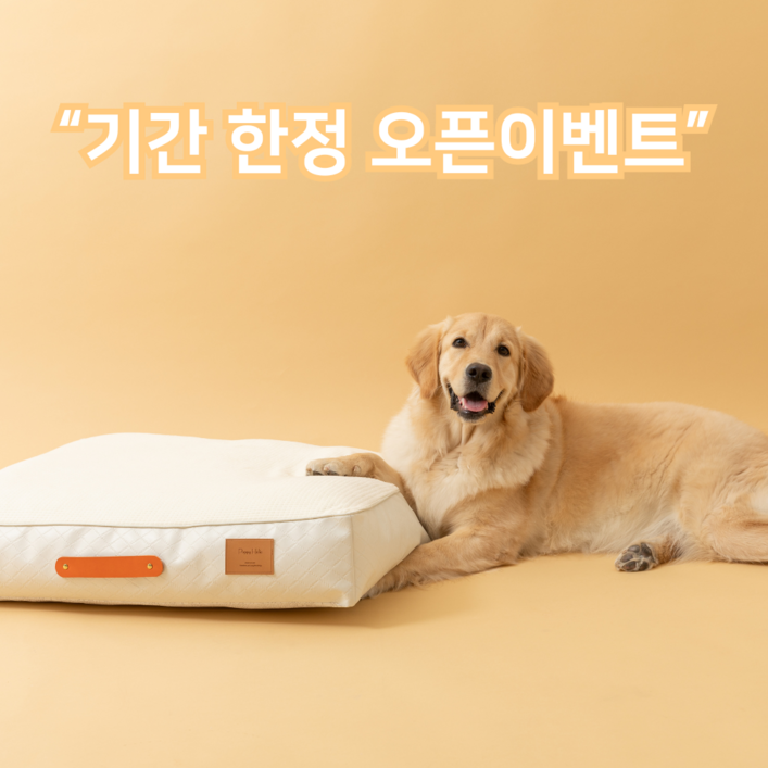 국내제조 갓성비 견이로움 강아지 애견 쭉쭉 방석 쿠션 중형 대형, 아이보리