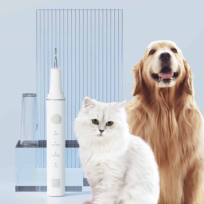 이게묘개 반려동물용 치석제거기