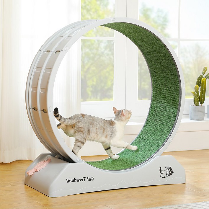 PAWZ Road 실내사용 ABS 저소음 캣휠