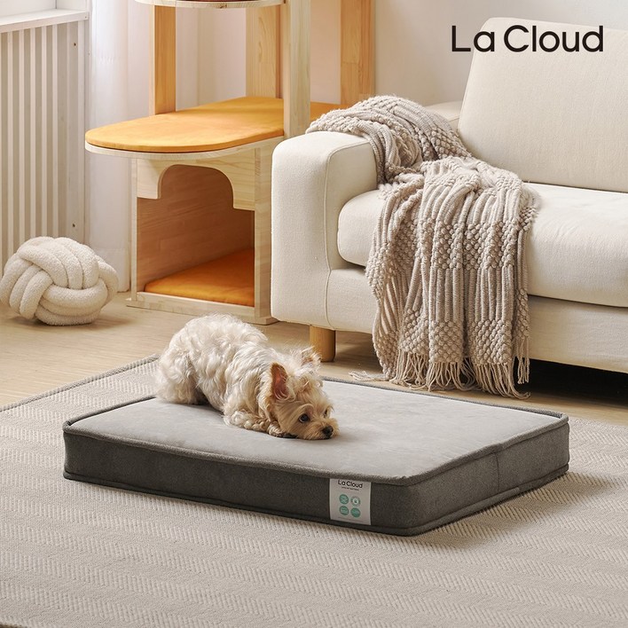 [ 라클라우드 ] 몽실 강아지 고양이 쿠션 사각 라텍스 매트리스 펫방석 펫베드, 1개, 그레이
