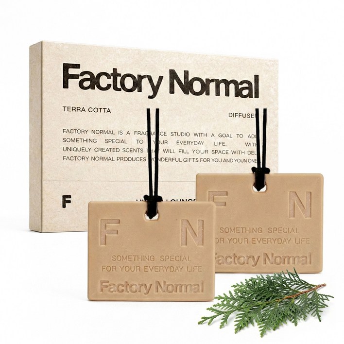 팩토리노멀 차량용방향제 테라코타 디퓨저 자동차 룸미러 선물, 1세트, 히노끼 라운지