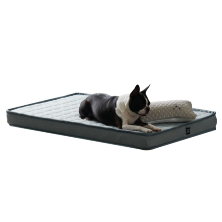 황실펫 씻어쓰는 강아지침대, 휴비스듀라론 냉감커버, 방수, 세탁, 내장재세탁 워셔블폼, 민트, 1개