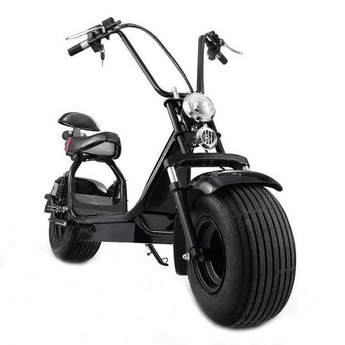 2인용 전동 전기 스쿠터 바이크 오토바이 배달 운전 할리전동스쿠터