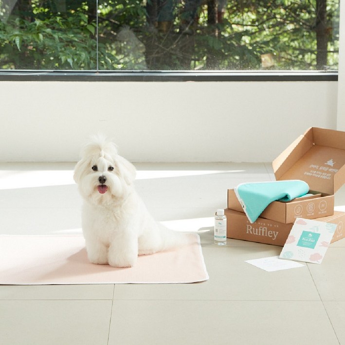 루플리 에코패드 (중형 M) 강아지 빨아쓰는패드 배변패드, 1세트, 3개입