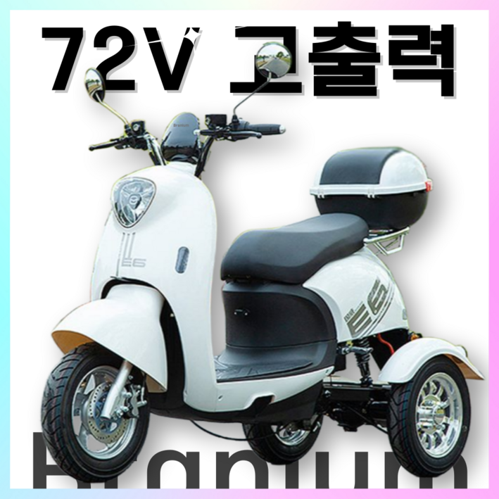 브라늄 힘좋은 듀얼쇼바 삼륜 오토바이 세발 전기 스쿠터 리튬배터리