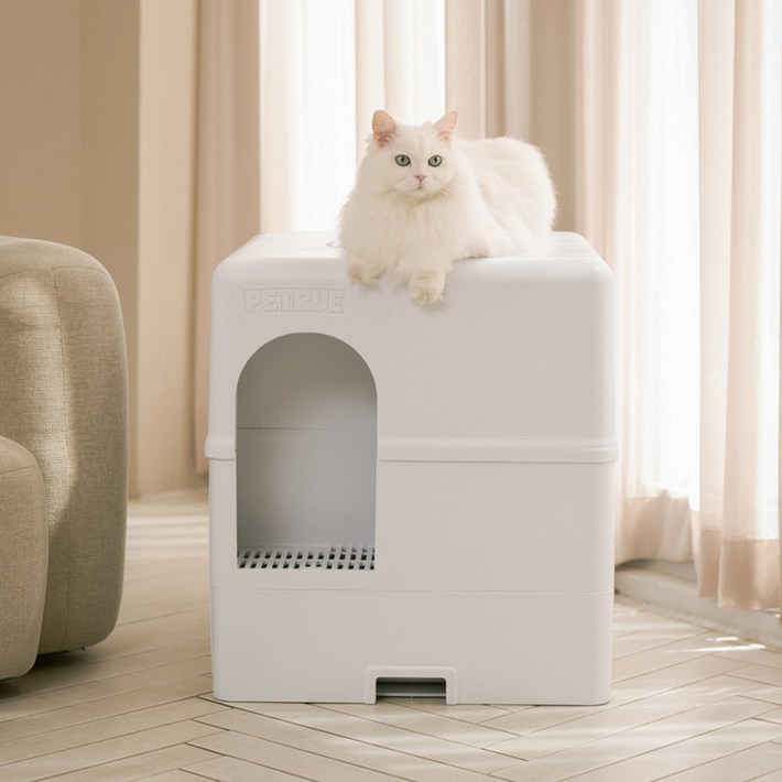 99.9 사막화방지 펫트루 SANDDEATH 고양이 화장실