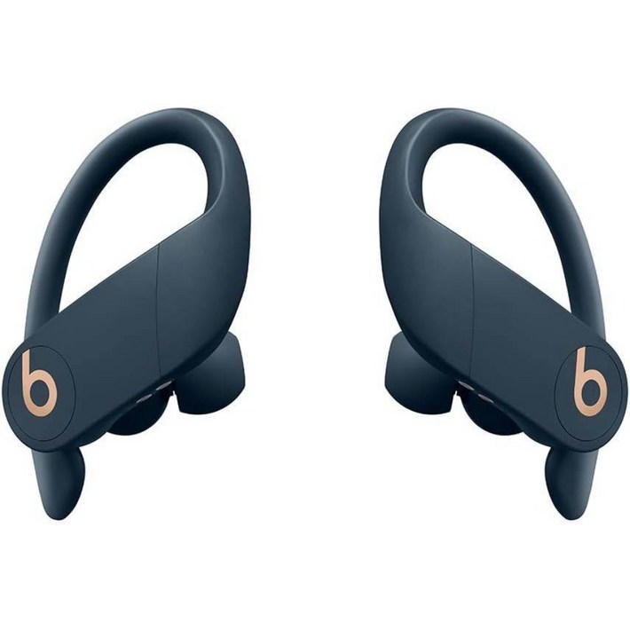 Beats by Dr. Dre Powerbeats Pro Wireless 이어버드