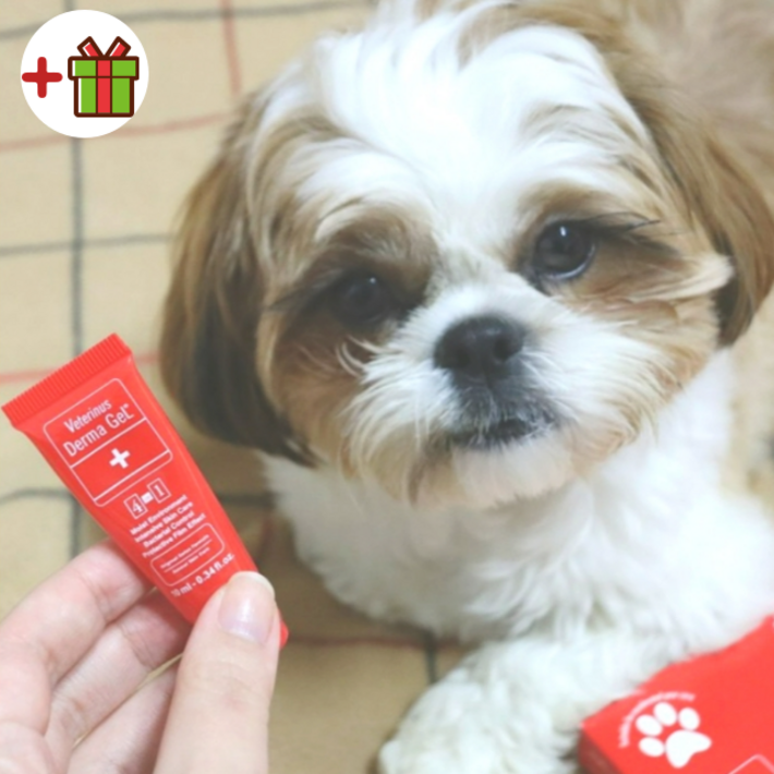 강아지 고양이 피부병 연고 후시딘 지간염 습진 연고 농피증 링웜 상처 소독 곰팡이성 피부염 앵무새 햄스터