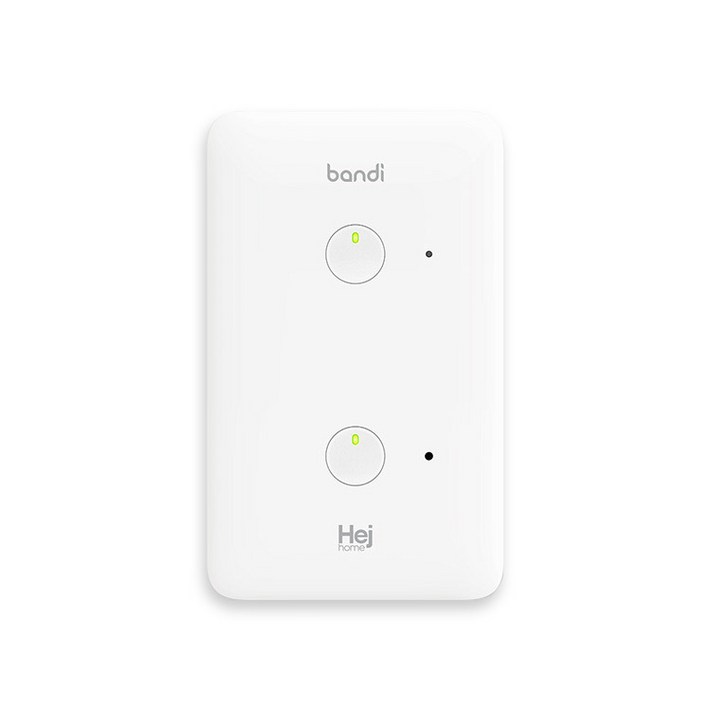 헤이홈 IoT 스마트 조명 스위치 2선식 2구