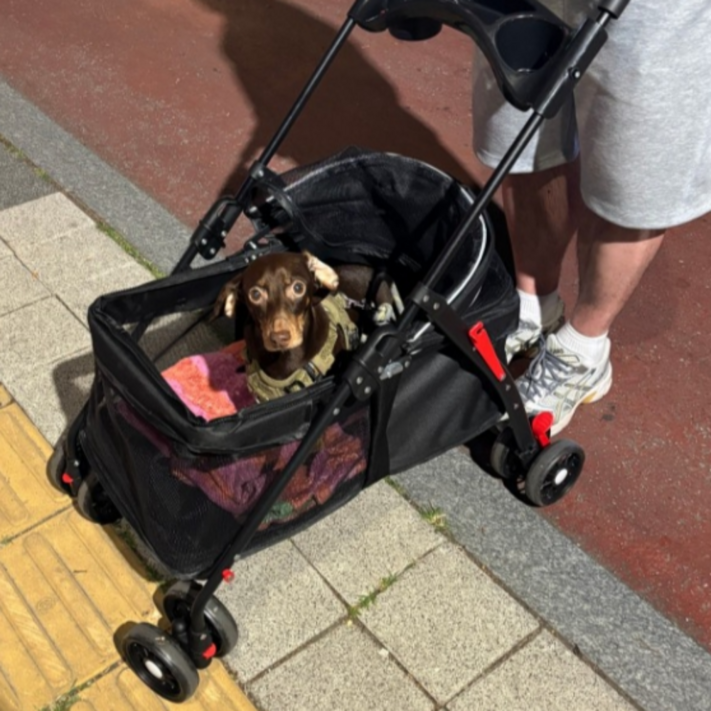 저상형 접이식 개유모차 강아지유모차 반려동물 폴딩형 개모차, 블랙, 1개