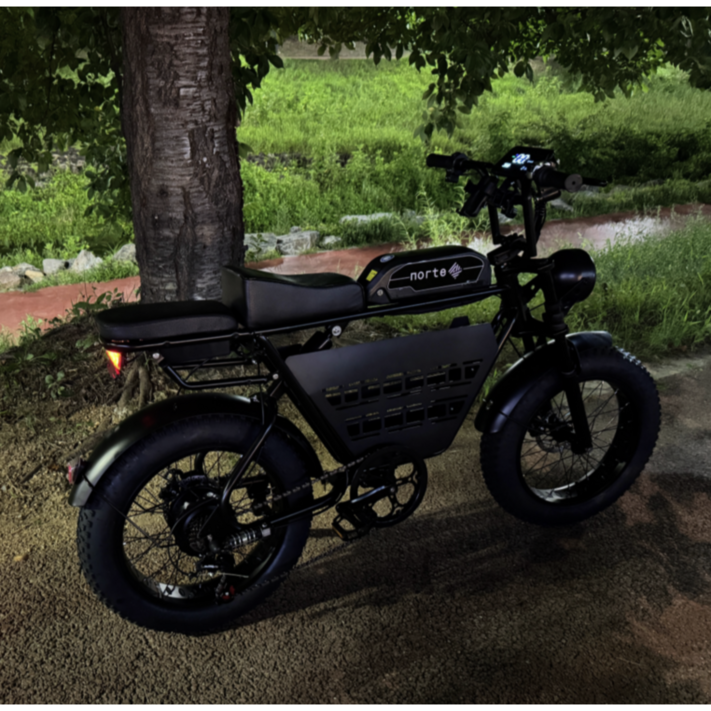 노르테 전기 자전거 자토바이 전동 스쿠터 팻바이크 MTB 배달용 출퇴근용, Y1 럭셔리, 스틸