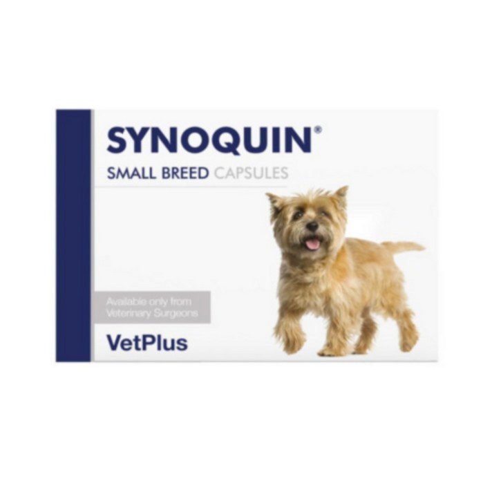 벳플러스 사이노퀸 소형견용 관절영양제 캡슐형 30정