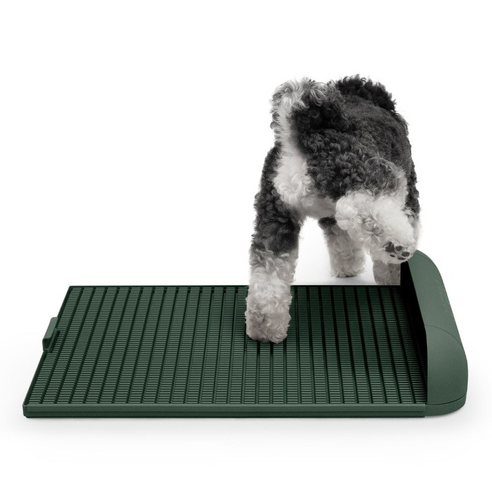 독톡 강아지 배변판 패드필요없음, L연장형올리브그린, 1개