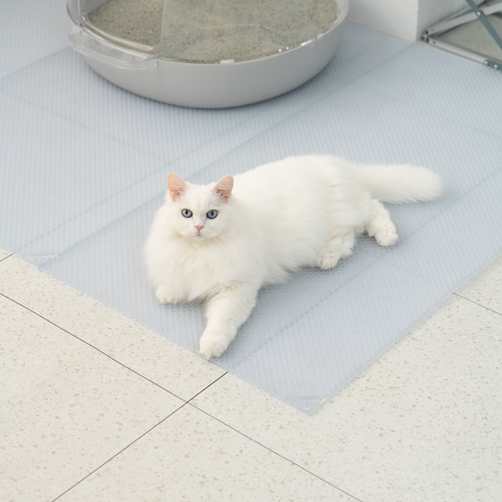 냥쌤 캐치매트 큐브타입, 투명, 1개