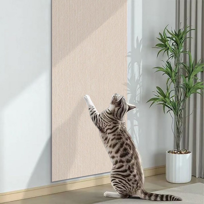 에드 고양이 가구 보호 스크래쳐 스티커