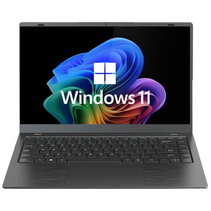 다오북 14인치 1.32kg N100 윈도우11 탑재 컬러 노트북, 다크 그레이, 14N100BBG, 128GB, 8GB, WIN11 Home