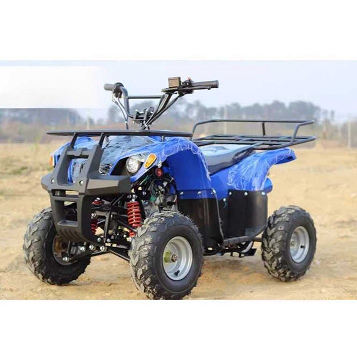 4륜 오토바이 ATV 6인치 어르신 소형 125cc 사발이 후진가능, 125cc 사발이 6인치 전진(1-3단) 후진