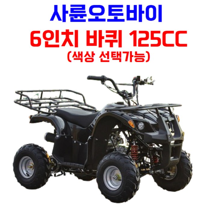 엑티쿼 사륜 오토바이 사발이 4륜 바이크 네발 산악 ATV 운반차 오프로드, 그린, 01 6인치 125CC 엑티쿼 사륜 오토바이 사발이 4륜 바이크 네발 산악 ATV 운반차 오프로드, 그린, 01 6인치 125CC